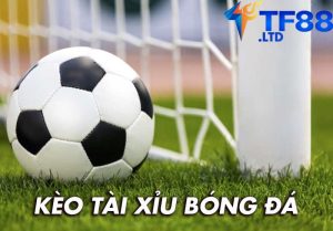 Tìm hiểu về kèo tài xỉu bóng đá